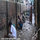 No-toilet-in-India.jpg