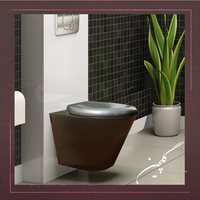 Wall Hung toilet, a global and lean product