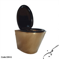 Stainless steel wallhong toilet