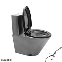 Stainless steel Ground toilet