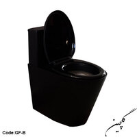 Stainless steel Ground toilet