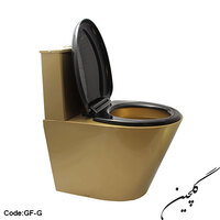 Stainless steel Ground toilet